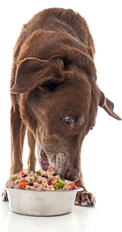 Ordering dog food commercial sale
