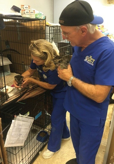 lucy-pet-hurricane-harvey