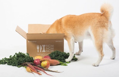 corgi-head-in-product-box