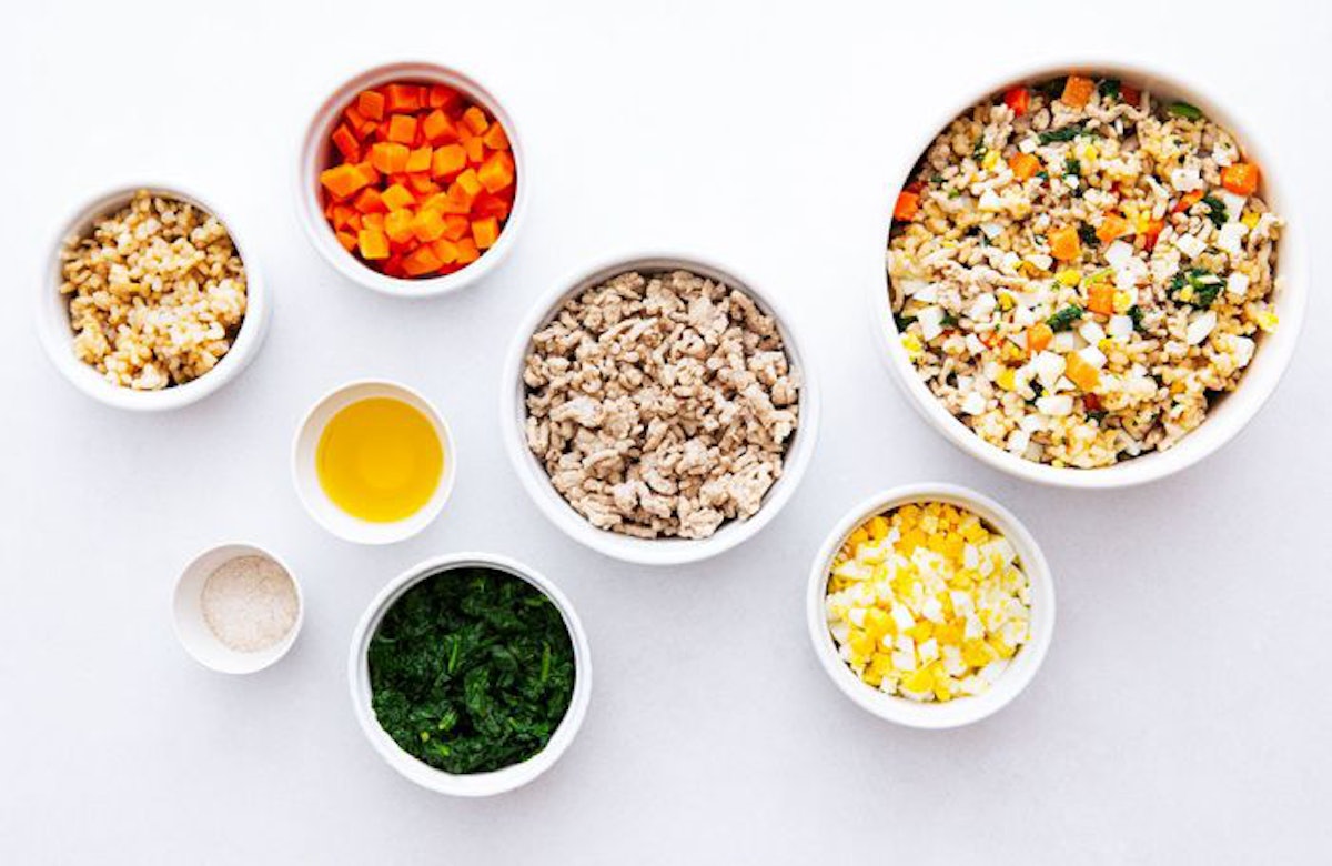 NomNomNow Providing pet health via customized pet food PetfoodIndustry