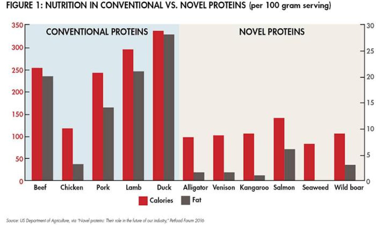 Novel proteins in dog cat food continue to grow PetfoodIndustry