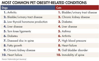 pet-obesity-conditions