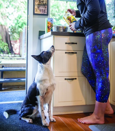 pureform-feeding-essentials