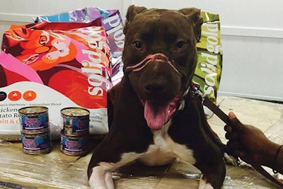 Solid Gold Caitlyn 1510 Pe Tservice