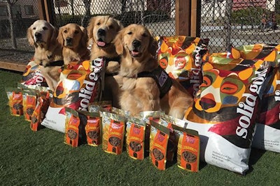 Solid Gold Dogs 2 1510 Pe Tservice