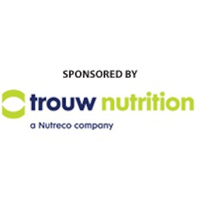 Trouw webinar logo