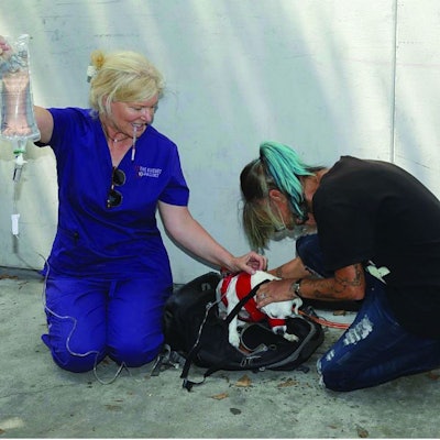 The Elle Vet Project