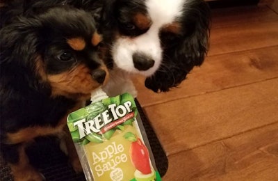 treetop-dogs-with-applesauce