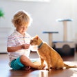 Accurately conveying pet nutrition information to customers is vital to building trust.