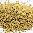 Chicken Feed Pile White Bkgrnd