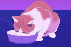 Dall·e 2023 05 18 13 59 40 Cat Eating From Bowl, Vaporwave