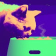 Dall·e 2023 05 18 13 59 47 Cat Eating From Bowl, Vaporwave