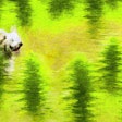 Dall·e 2023 06 14 13 42 00 Monet Painting Of Dog Running Through Hemp Field