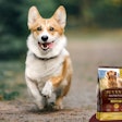 Juvenia Nutrition Corgi Dog Food