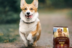 Juvenia Nutrition Corgi Dog Food