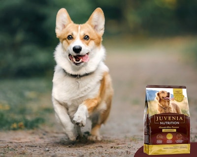 Juvenia Nutrition Corgi Dog Food