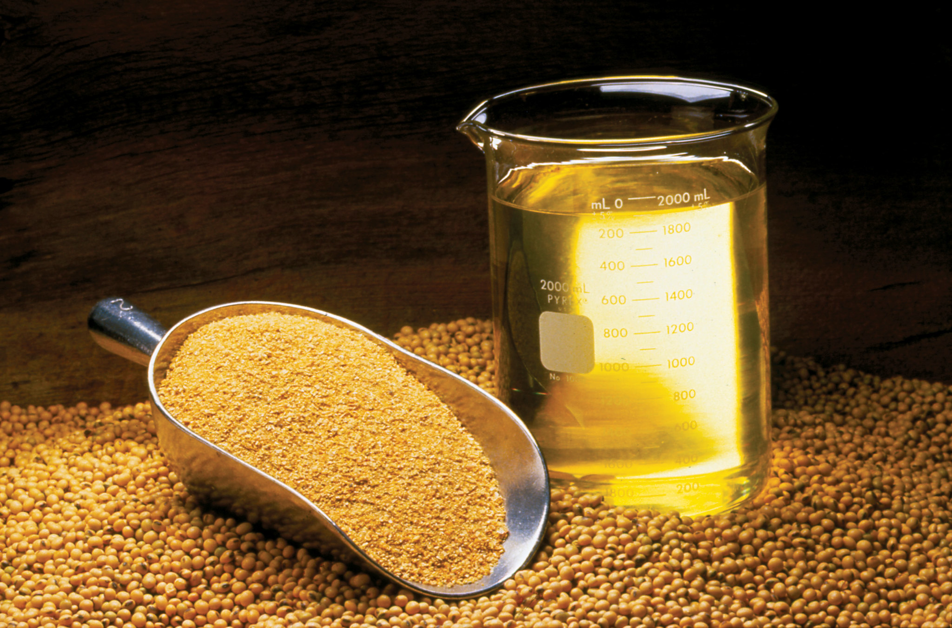 Soybeans, soybean meal and soybean oil | Courtesy United Soybean Board