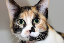 23462023225 E4bb5def91 O