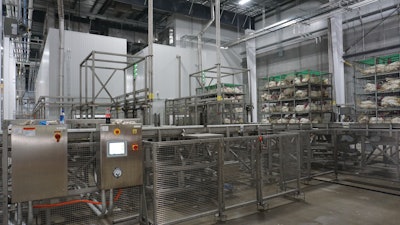 Turkeys are stunned using a carbon dioxide based system.