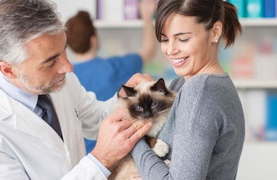 Pfi cat At Veterinarian