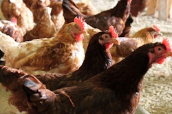 30959514602 60128bc4a7 O