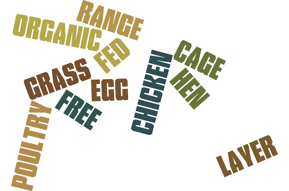 Animal welfare certifications for chicken in dog food recipe