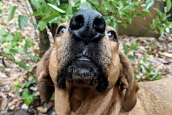 50587837511 1cc1472a7f O