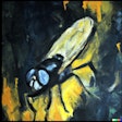 Dall·e 2023 06 14 12 51 44 Abstract Oil Painting Of Black Soldier Fly