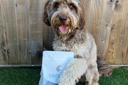European pet food brand Percuro specializes in sustainable insect protein- and plant-based adult dog and puppy food, soon to include cat food.