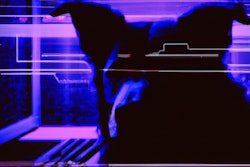 Dall·e 2023 05 18 13 56 09 Synthwave Art Of Dog Using Computer In The Future