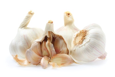 Garlic is a widely used human food ingredient, but its use in pet food and treats is more complicated.