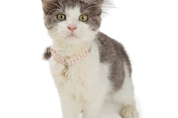A focus on the affluent may have its limits when it comes to pet food product development and retail strategies.