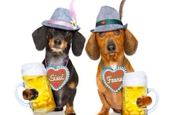 Pfi german Bavarian Beer Dachshund Dog Octoberfest