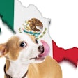 Pfi mexico Pet Market 1612 Pe Tmexico
