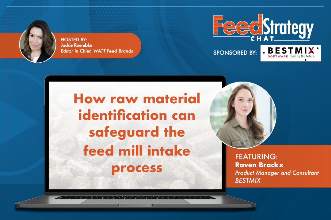 Interview with Raven Brackx, BESTMIX product manager and consultant