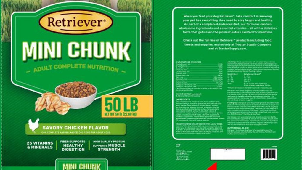 Fda dry dog hot sale food recall list