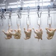 Chicken Processing Line 2
