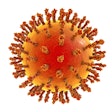 Influenza Virus Isolated