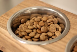 Kibble In Bowls 32878209517 O