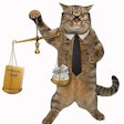 Pfi cat Glasses Legal Lawyer Lawsuit Justice Court