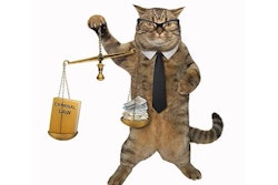 Pfi cat Glasses Legal Lawyer Lawsuit Justice Court