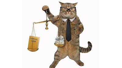Pfi cat Glasses Legal Lawyer Lawsuit Justice Court