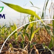 Adm Regen Ag Report