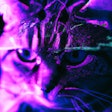Dall·e 2023 11 09 11 48 56 Synthwave Image Of A Cat Using A Computer, The Cat Is A Hacker