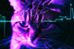 Dall·e 2023 11 09 11 48 56 Synthwave Image Of A Cat Using A Computer, The Cat Is A Hacker