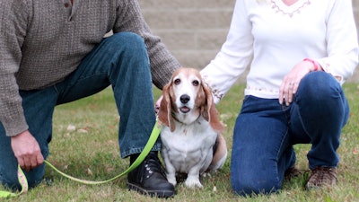 Basset Hound On Leash With Family 23084155494 O