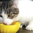 Higher cat ownership means higher growth rates for cat food and treat sales.