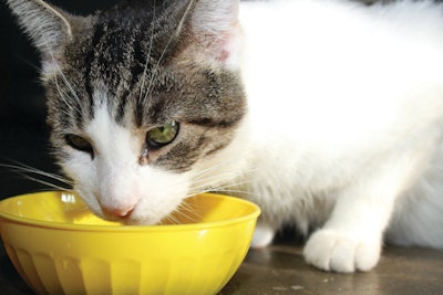 Higher cat ownership means higher growth rates for cat food and treat sales.