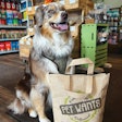 Pet Wants’ model is to provide multiple ways for its customers to get their food, whether it’s from a physical retail location, delivered to their home or purchased online. (Pictured: Australian Shepherd Elliot Januszki with his Pet Wants haul.)