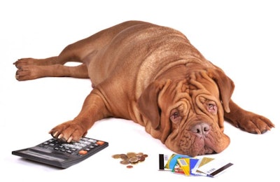 Pfi dog Calculator Coins Money Credit Cards Debt